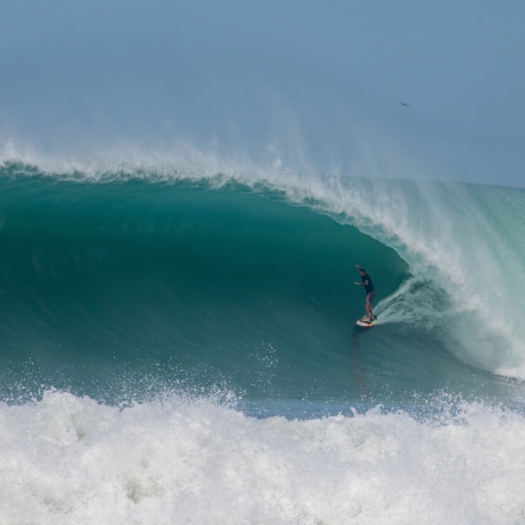 Surf